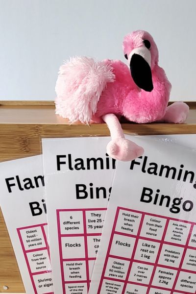 Bingo Vacation - Flamingo
